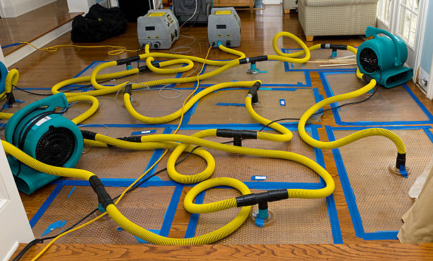 Professional Crawl Space Water Removal technician working in Dupont, PA